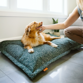Cloud Pillow filling without cover